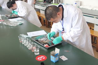 湖南首屆水產(chǎn)技術(shù)推廣職業(yè)技能競(jìng)賽 以賽促學(xué)，以技興漁