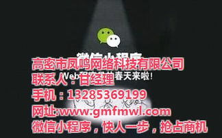 高密網絡公司專業推廣與鳳鳴網絡技術深度解析 高清視覺營銷賦能旅游開發項目策劃