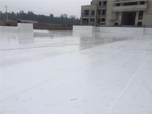 tpo防水卷材施工隊